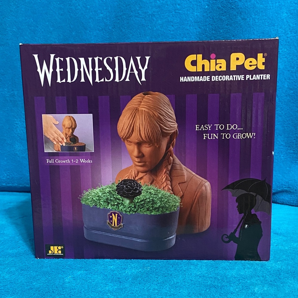 Wednesday Chia Pet
